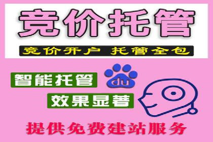 百度竞价推广运营实战技巧与经典案例剖析